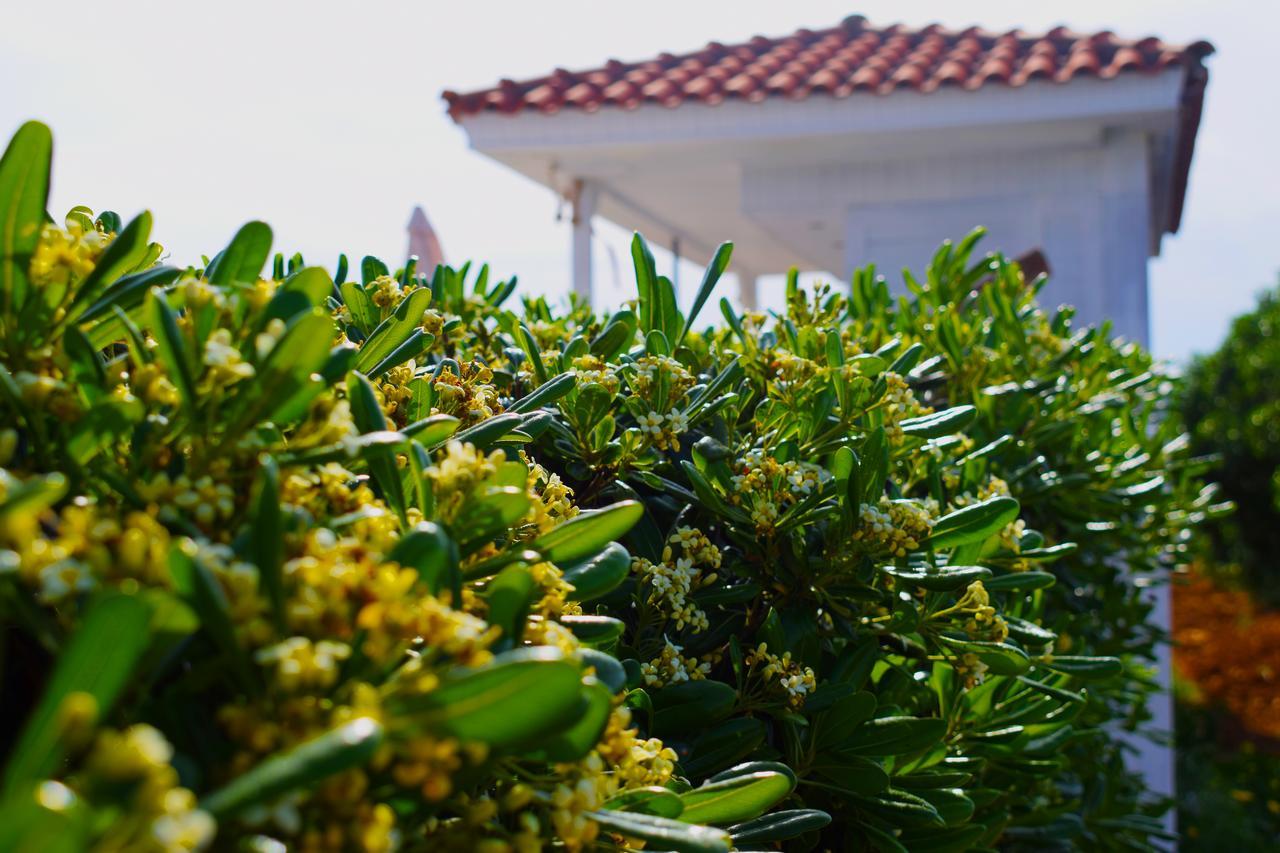 Отель Sofia'S House "By Checkin" (Adults Only) Kokkini Hani Экстерьер фото